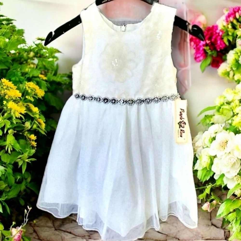 NWT Apple Rose Rhinestone Dress 4T